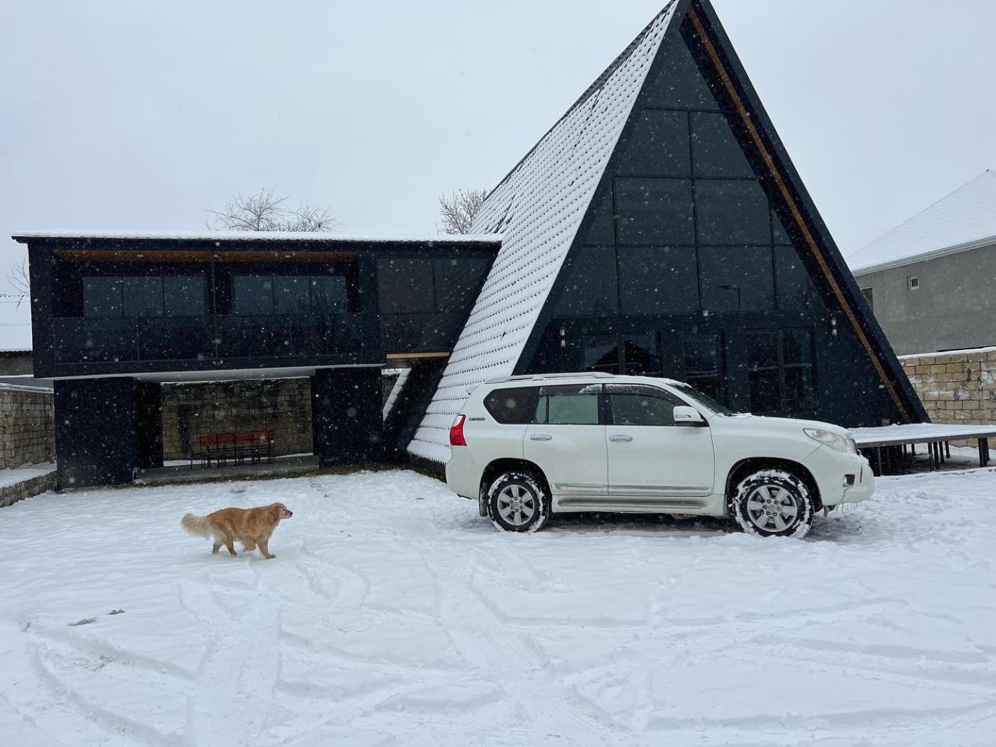 Qafqaz Wood Chalet Gabala Kültér fotó